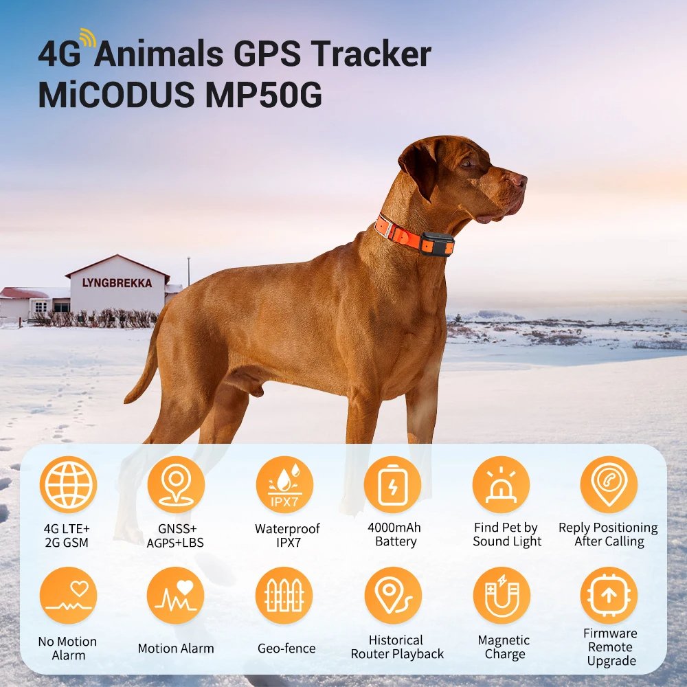 ebiffy-animal-gps-tracker-mp50g-micodus-product-description