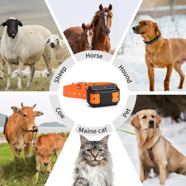 ebiffy-animal-gps-tracker-mp50g-micodus-product-description